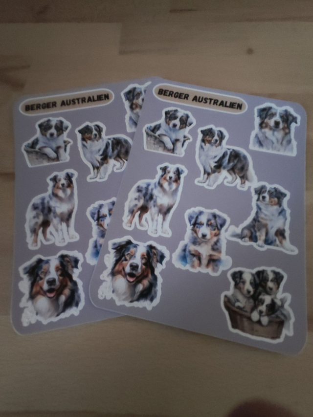 Planche stickers Berger australien