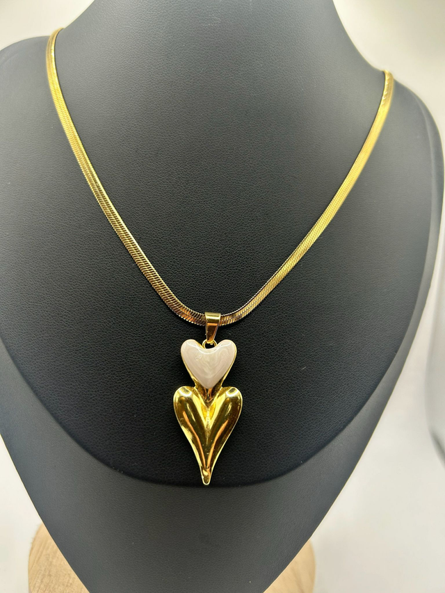 Stainless Steel Necklace (SSN111J)