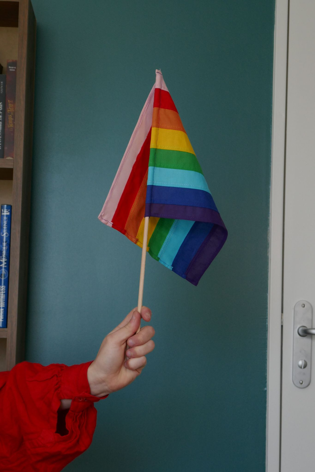 Drapeau bâton 