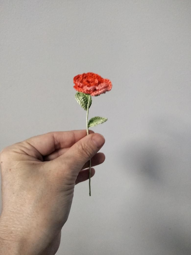 Petite fleur printanière 