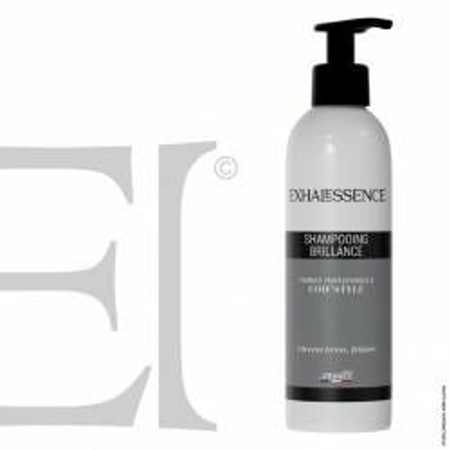 shampooing brillance (185ml)
