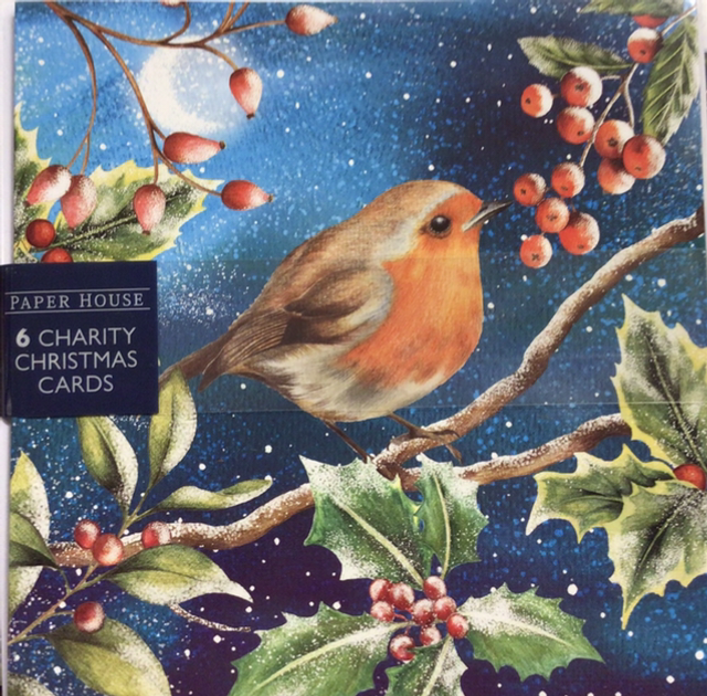 Christmas Pack of 6 by Paper House (Robin)