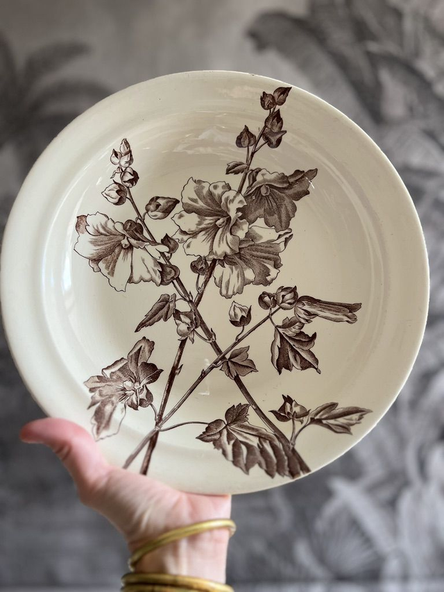 TREMIERES - Plat creux rond de la manufacture des Salins XIXème siècle - Terre de Fer