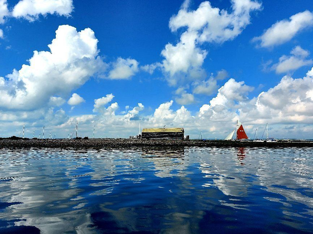 Children's Half Day Summer Seashell Soap Making, Lunch and Boat trip 10am - 3pm 25th August 2023 Age 6-16