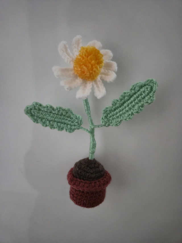 Pot de Fleur Marguerite au crochet aimanté