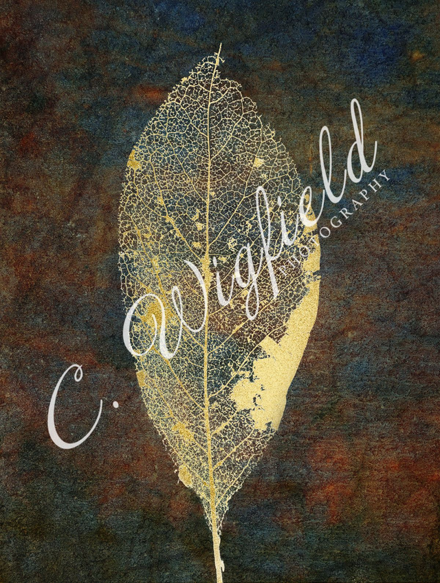 Laced Magnolia Leaf Study I Mounted Print