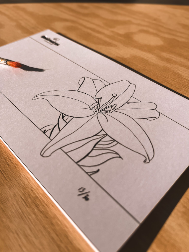 Coloriage Flipbook fait à la main- L'abeille et le Lys