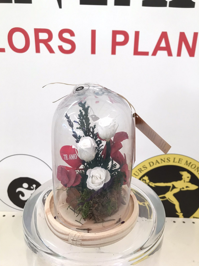 CUPULA CRISTA 3 ROSA BLANCA D-12 Altura 16cm