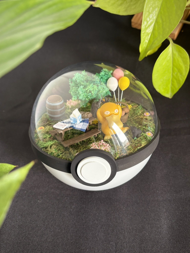 ☀️ Terrarium Pokémon - Édition Été - Psykokwak