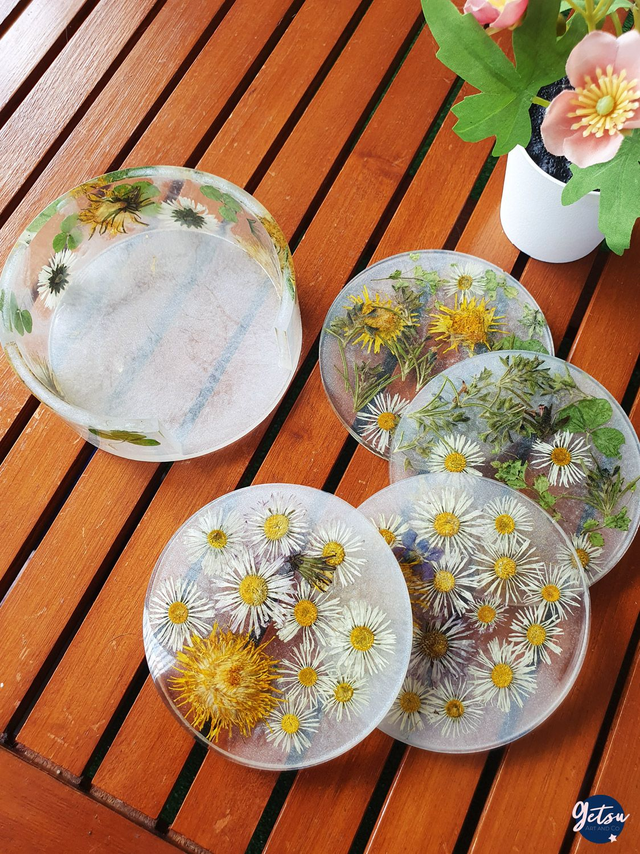 Ensemble de 4 sous-verres et rangement, en pâquerettes et pissenlits