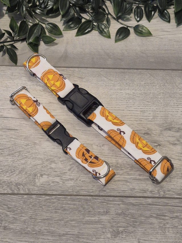 Pumpkins on White Fabric Dog Collar | 4 Sizes | 2 Buckle Types