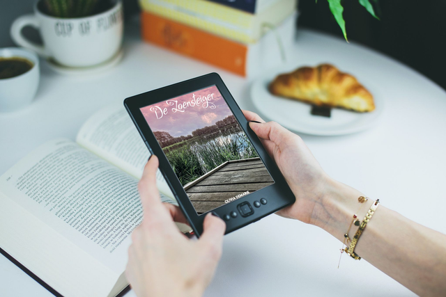 De Zoensteiger - E-Book