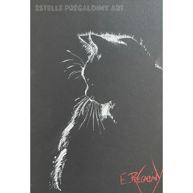 « White CHAT’LK », craie blanche sur papier texturé noir