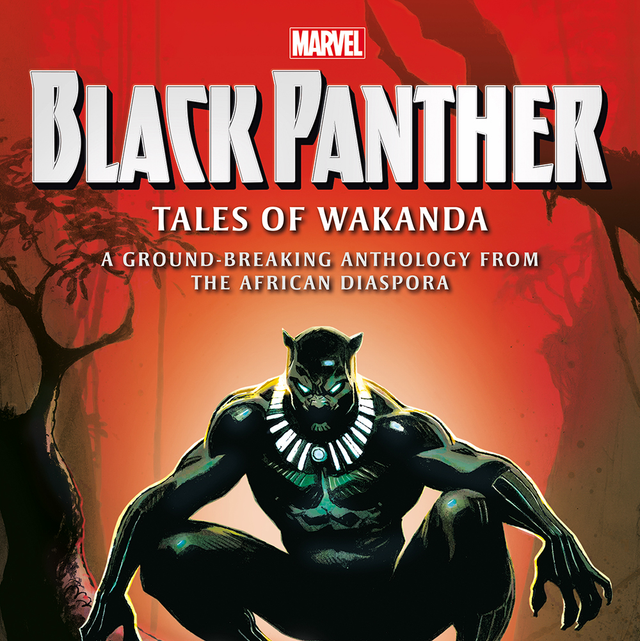 Black Panther: Tales of Wakanda