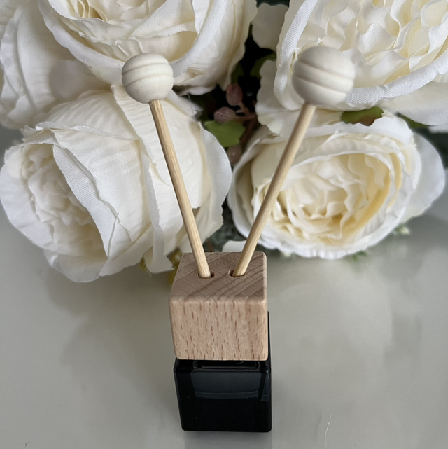 Car Diffusers Clip-On