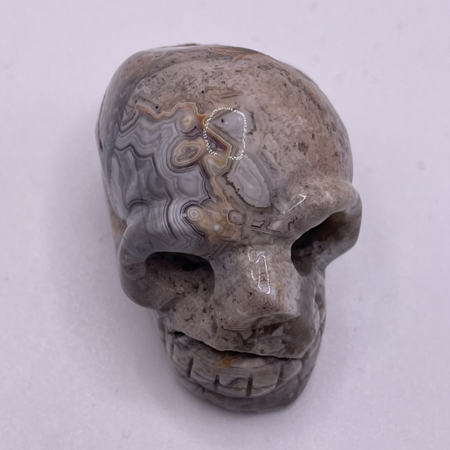 Crazy Lace Agate Skull