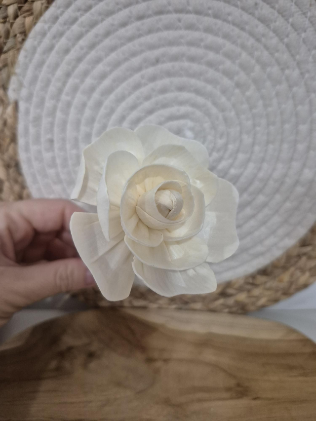 Fleur de Sola sur tige 