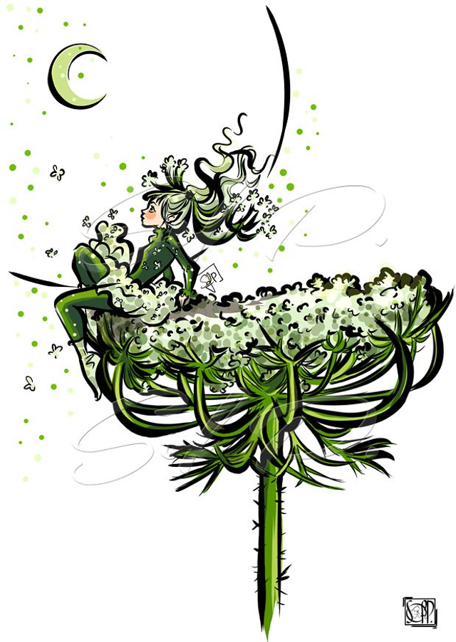 FEES DES JARDINS-carotte sauvage