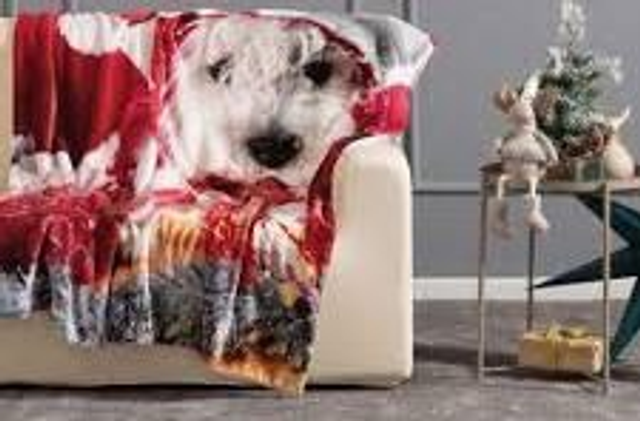 NATALE PLAID IN PILE PREMIUM 