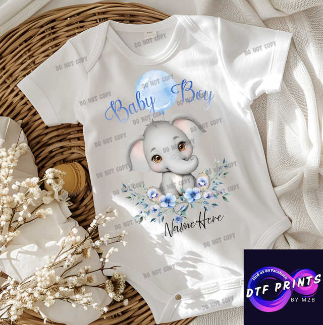 Elephant Baby Boy