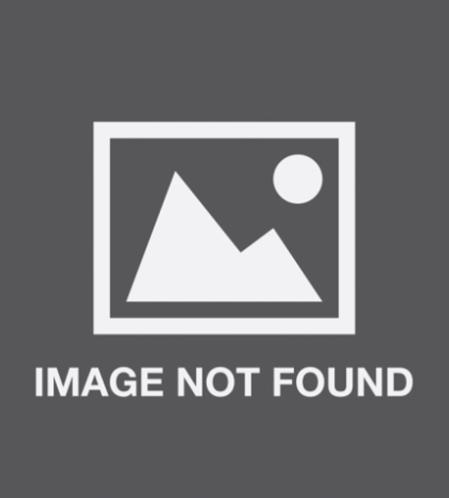 Asylum Man 2024 T-Shirt