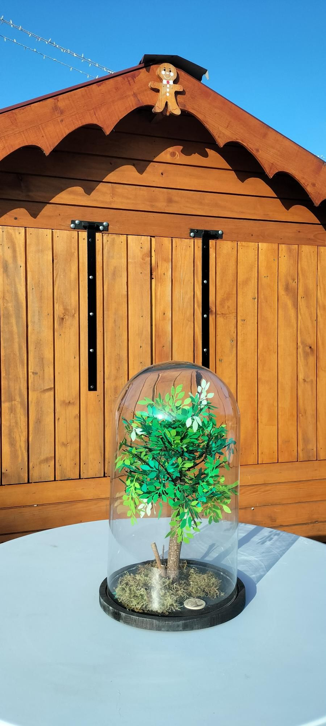 Arbre sous cloche livraison sur nancy &amp; environ ou retrait sur 54690( feuilles en papier)