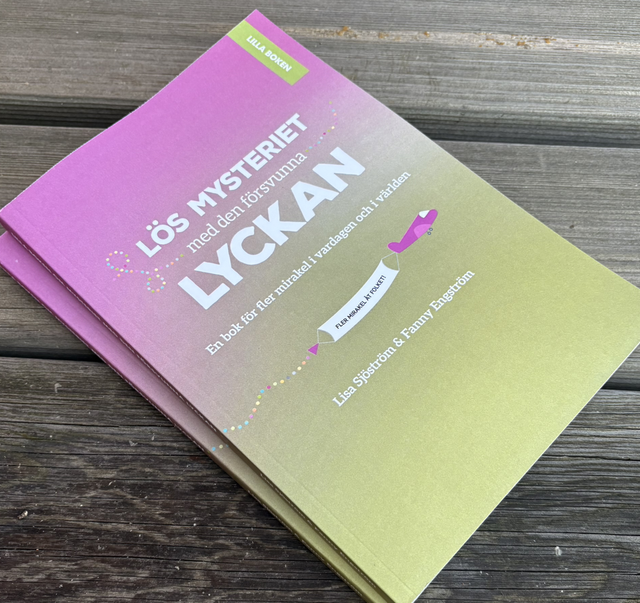 *Andra sortering* Lilla boken om mysteriet med den försvunna lyckan