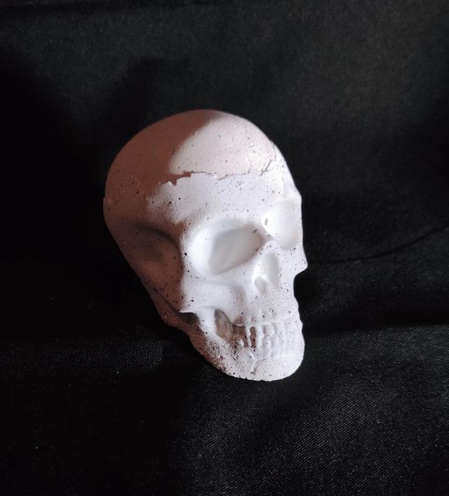 Crâne en jesmonite ac730