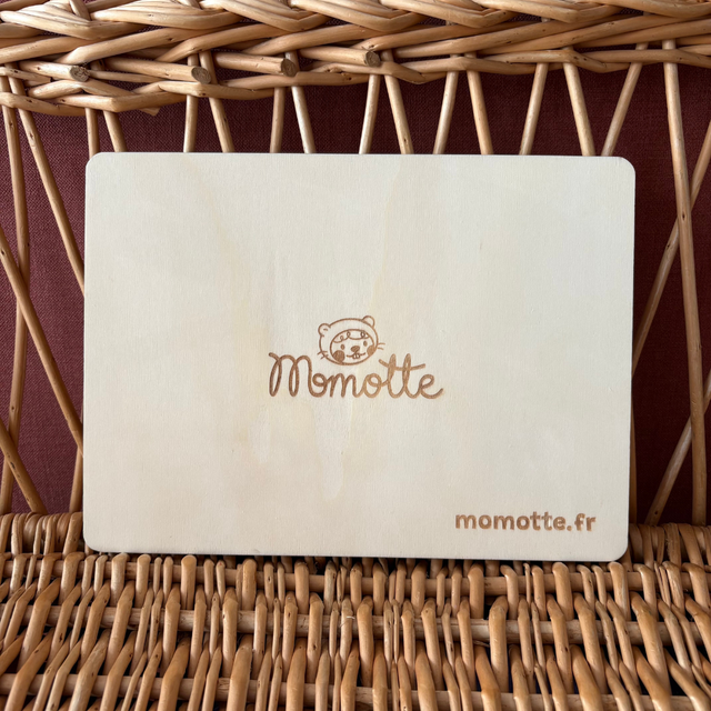 PLACE-TOUT (avec planche)