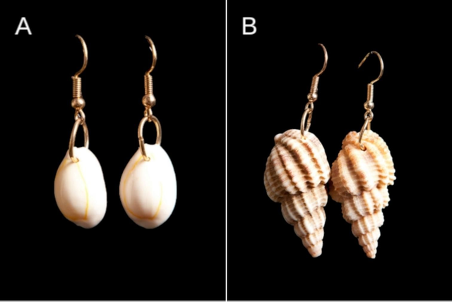 Boucles d&#039;oreilles coquillage