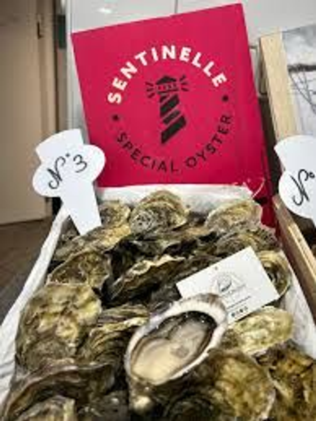 Huitre spéciale Sentinelle N°3