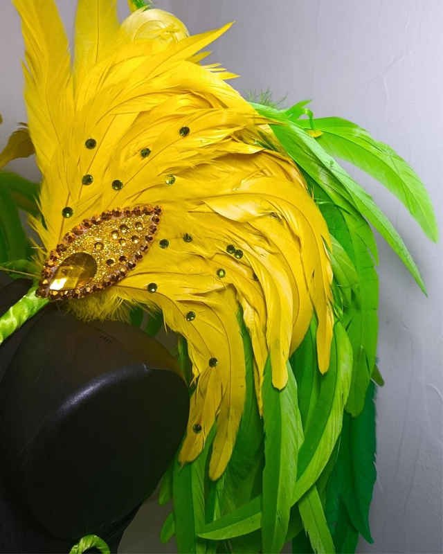 Costeiro Cleonina Brasil