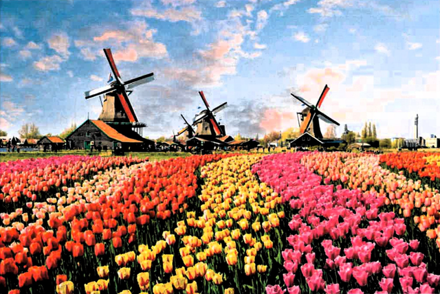 Croisière Rhin- Hollande du 1er au 6 Mai 2025