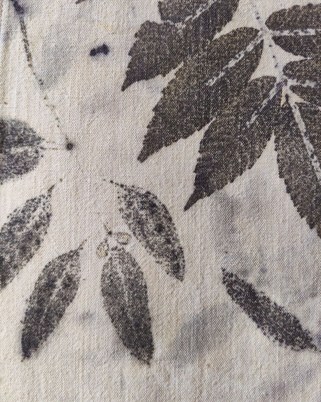 Petit Kakémono * Sumac Eucalyptus *