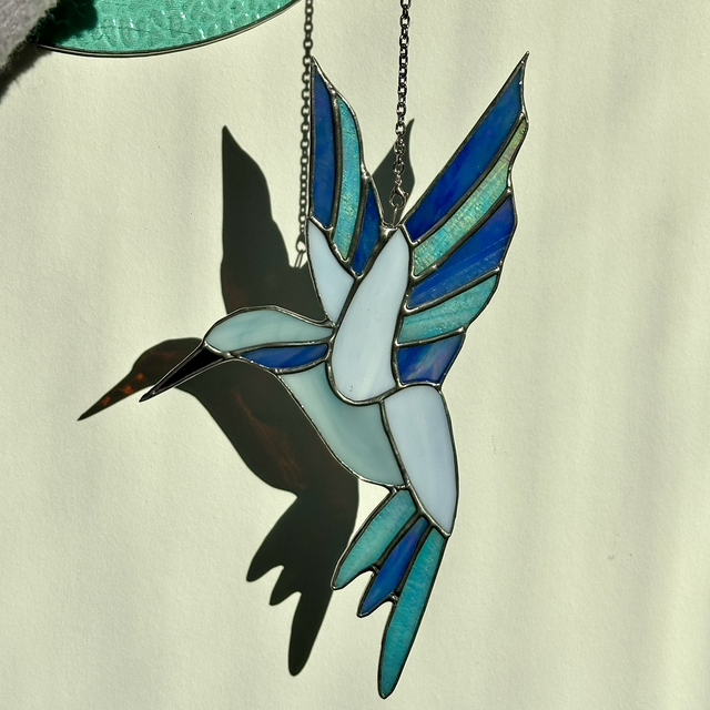 Colibri bleu ciel