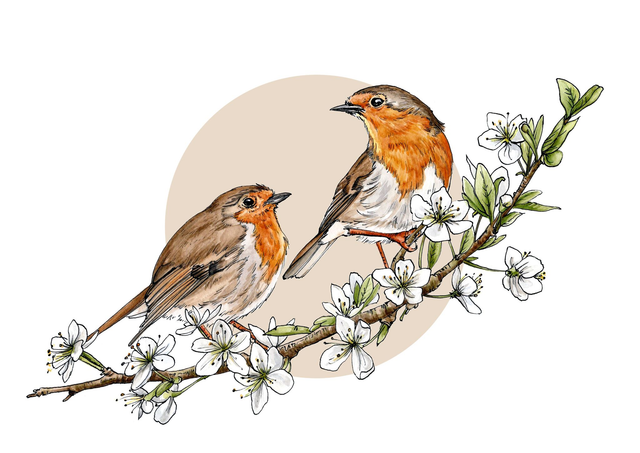 Two Robins Print - After an original ink and watercolour illustration