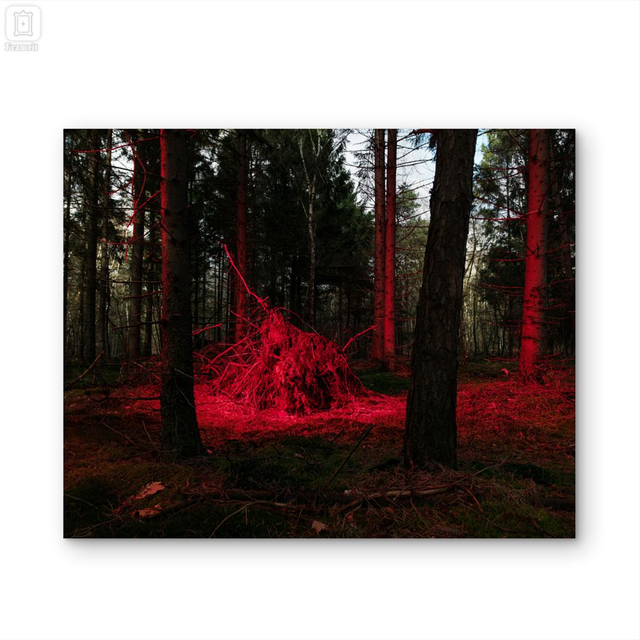 'Signal 04' Fineart print on dibond  