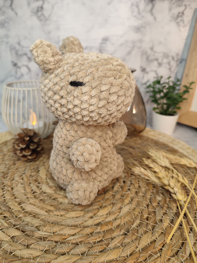 CAPYBARA