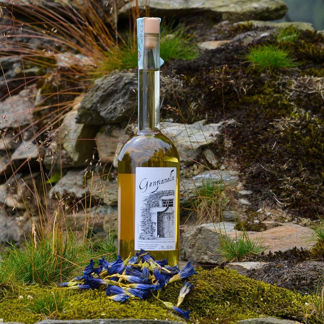 Genzianella