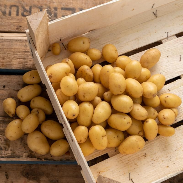 Pomme de terre Grenaille