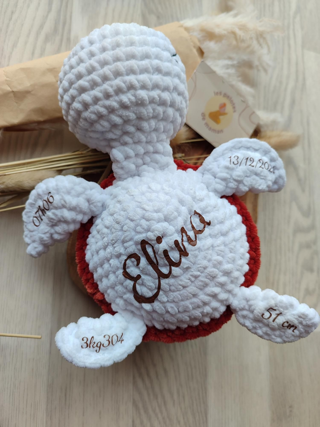 Ma tortue de naissance 