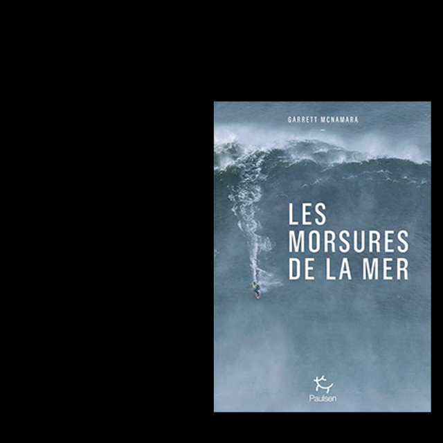 LES MORSURES DE LA MER