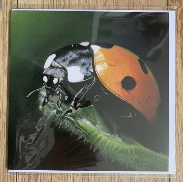 Greetings Card - Predator - Blank Inside