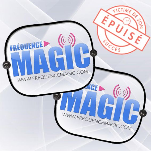 PARE SOLEIL (LOT DE 2)