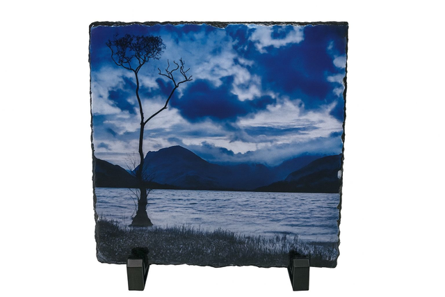 Lone Tree at Buttermere