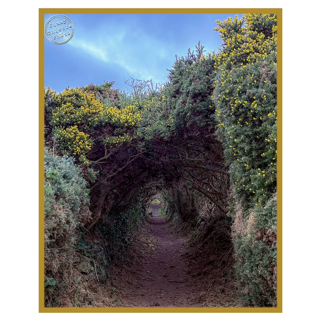 Some paths are just… well, perfect! 