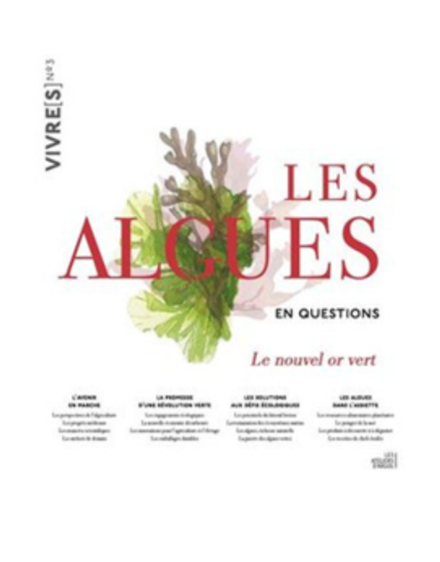 Les algues en question, C.Flohic