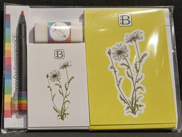 Leggi &amp; Colora - Kit Scrittura - I Fiori di Catia n. 2 - Margherita