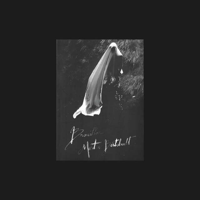 Martin Berteloodt,  Brouillon