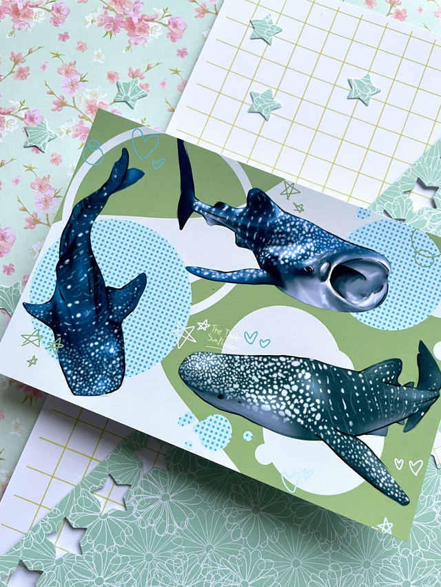 Whale Sharks Postcard